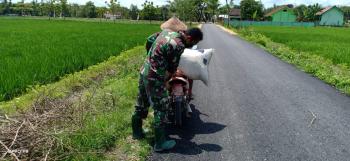 Bantu Unggah Pakan Ternak Di Sepeda Motor, Satgas TMMD 110 Bojonegoro Lakukan Komsos